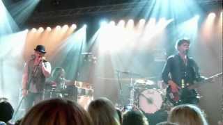 Racoon Laugh About It LIVE