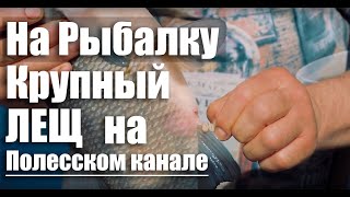 Когда и на что ловли рыбы в калининградской области