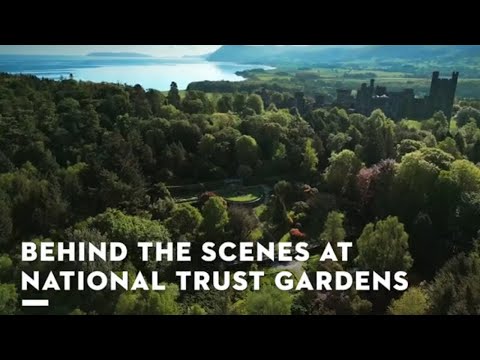 Penrhyn Castle mit Jane Moore erkunden | Gärten des National Trust | STIHL Partnerschaft | STIHL GB