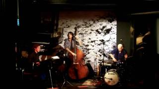 Erik Lindeborg Trio - Traveler, Live at Lilla Hotellbaren