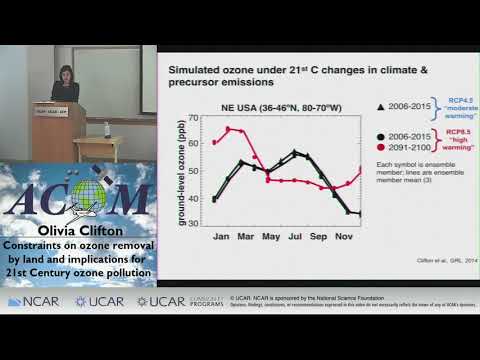 Olivia Clifton: Constraints on ozone removal by land & implications for 21st Century ozone pollution