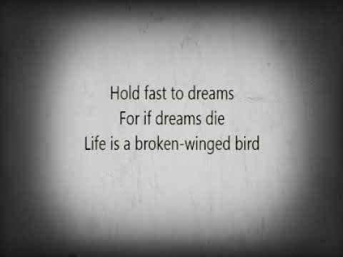 Langston Hughes Best Poem Dreams