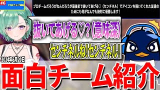 八雲べにのセンシティブなフリに焦るTIE Ru【Apex切り抜き/TIEカスタム/TIE Ru/八雲べに/みらたんぐ】