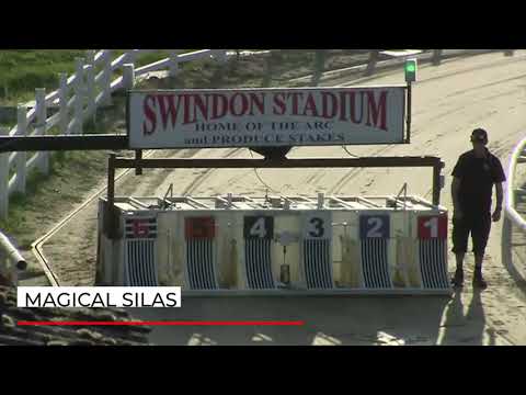 Magical Silas - GreyhoundMediaGroup Standard - Heat 1