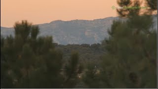 preview picture of video 'Mirador municipal para observación astrónomica en Cardeña Córdoba'