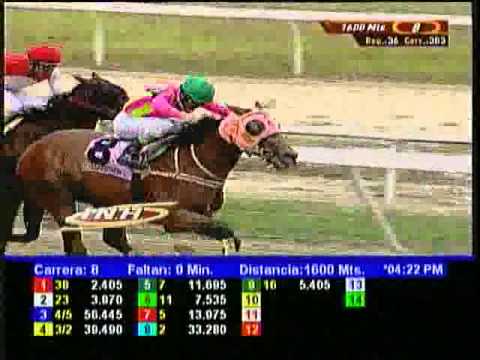 Resumen Domingo, 11 de Mayo de 2014 - La Rinconada