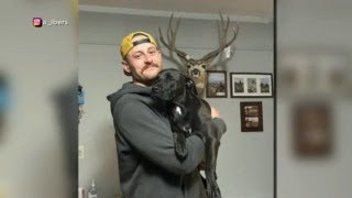 Minneapolis Man Reunited With Missing Dog After Car Theft