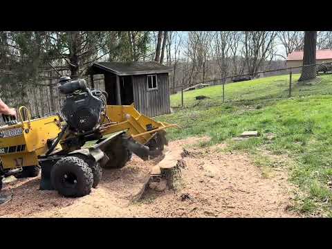 Satisfying Stump Grinding in Catlettsburg KY | Watch This Huge Stump Disappear