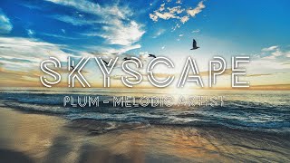 Cover art for Plum Skyscape