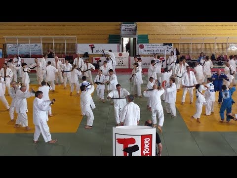 The 11th Tre Torri Judo Summer Camp started!