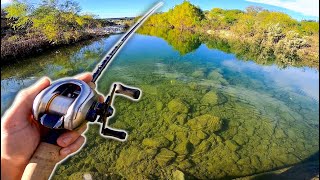 We Discovered a CRYSTAL Clear Creek Under a HIGHWAY BRIDGE! (Part 2)