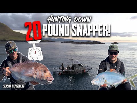 HUGE BAIT = East Cape Monsters - S7 EP12 Waihau Bay