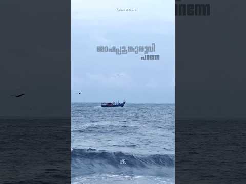 Azhekkal Beach | Shot on Iphone | Kadal Yathra #beachlife #shortsfeed #shorts