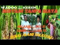 BERAS ORGANIK MELALUI PERTANIAN ALAMI (NATURAL FARMING) #OneVillageOneYouTuber #OVOY2021