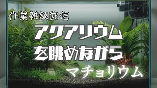 【マチョリウム -Muscle Aquarium Simulator-】アクアリウムを眺めながら雑談及び作業／こんのこん※ネタバレ注意