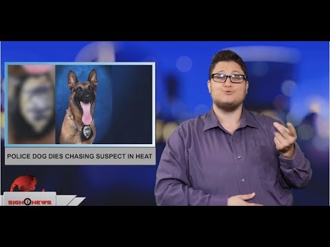 Sign1News 5.25.19 - News for the Deaf community powered by CNN in American Sign Language (ASL)