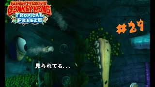 【ドンキーコングＴＦ】4－4「いかりの8本足」