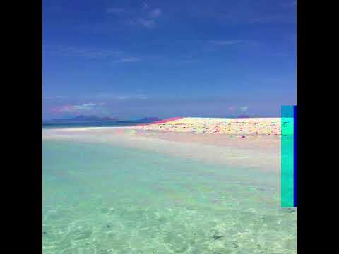 Tokalau String Band _ 18's of October 🔉🎼🎵✊