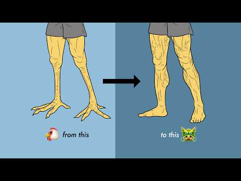 Fix your chicken legs with these 5 exercises