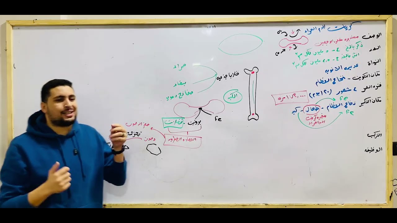 2025 11 16 09 29 Img 0229