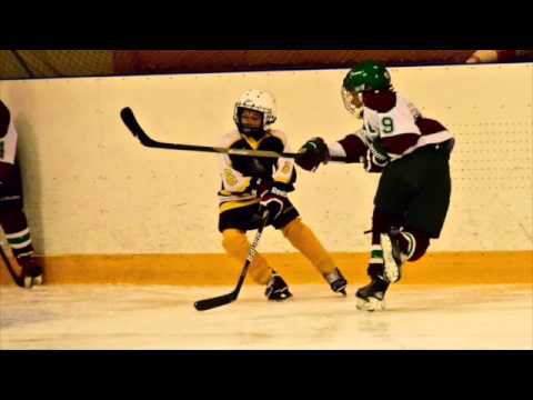 Karhu-Kissat Haminassa 13.6.2015