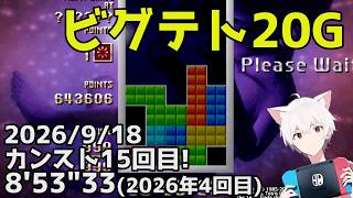 2026年20Gカンスト4回目！ビグテト テトリス ザ・グランドマスター BIG BLOCKモード 8'53"33 PS4版