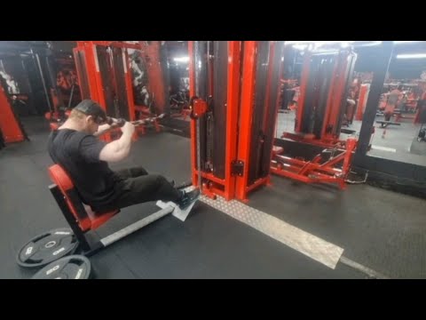 Spring Bulk Day 63-Shoulders