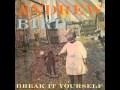 Andrew Bird - Give It Away