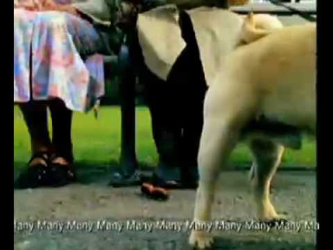 Capital Radio TV ad - Feeling Great