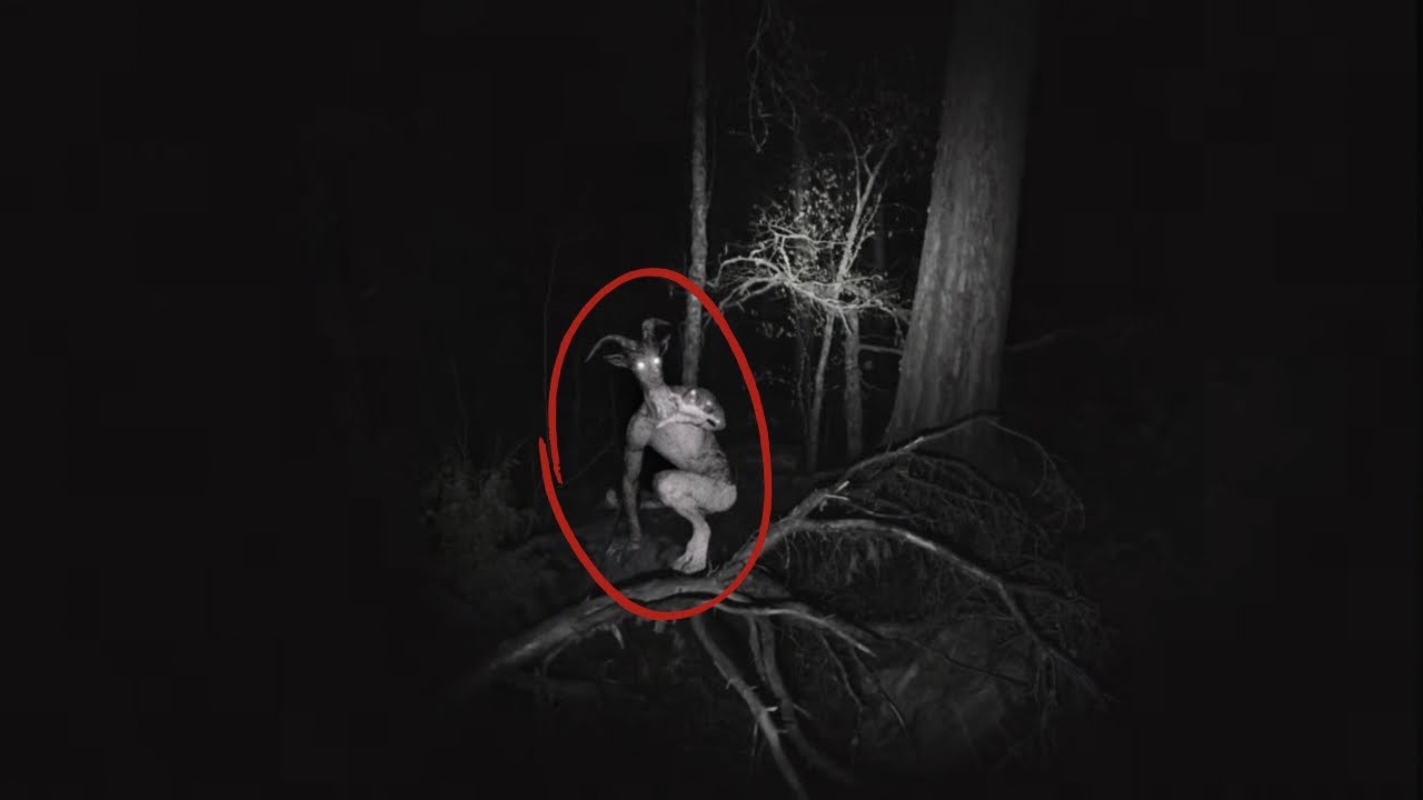 10 Most DISTURBING Cryptid Encounters Caught on Camera