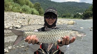 Shimano world shaula 17113r-2