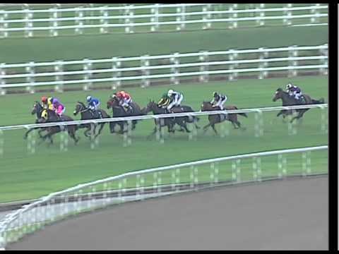 Stewards' Cup 2011 (Jamal Malik)