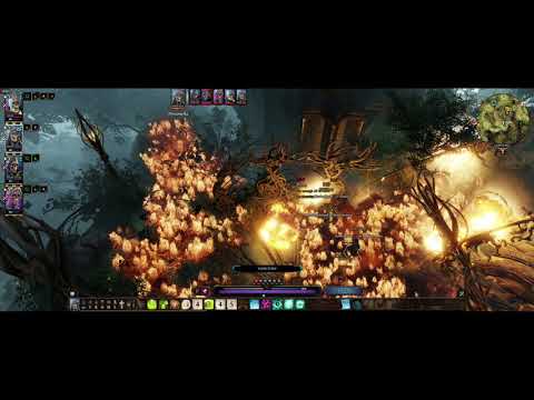 Divinity Original Sin 2 -KILL EVERYONE- Guide pt. 16 - Elven Temple Spring Cleaning Nameless Isle