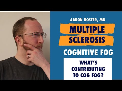 Multiple Sclerosis and Cog Fog: What's contributing to it?
