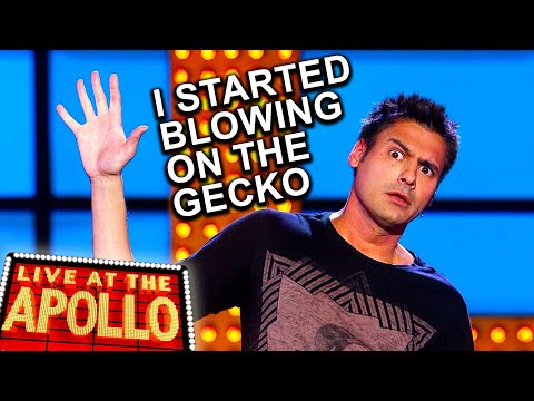 Trying To Sleep With A Gecko In Your Room | Danny Bhoy | Live at the Apollo | BBC Comedy Greats