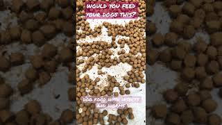 would you feed your dogs dog food with worms and insects #shorts