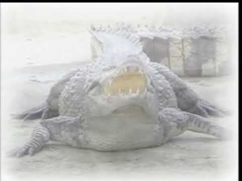 Baruding - Sungguh Ko Kasih [Official Music Video]