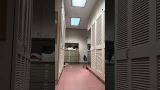 Download lagu THE BODY TAPE DON Fashion Show 2023 NAKED MODELS porduced by fashion sizzle nyfw for NYSW for NYFW 1 mp3