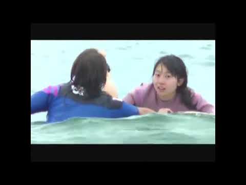徳島大学サーフィン部