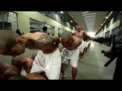 Thousands of suspected gang members moved to 'mega prison' in El Salvador