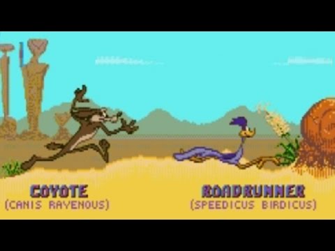 Desert Demolition Starring Road Runner and Wile E. Coyote (Genesis) Playthrough - NintendoComplete