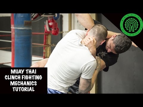 Muay Thai Clinch Fighting Mechanics Tutorial