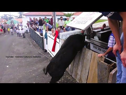 The 74 was at Tasca Do Soneca - Canada Cap. Mór - Touros OT (58,33,74,35) - 10/05/2025 - Terceira...