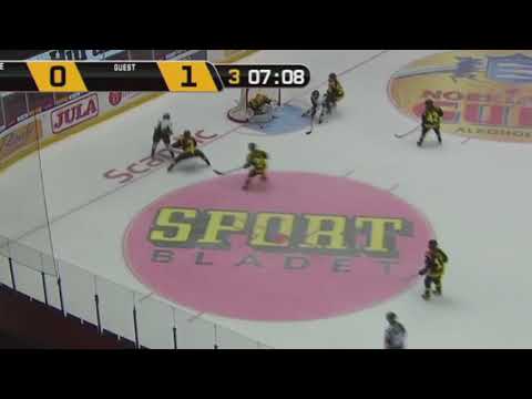 Veckans Snyggaste mål SDHL vecka 4