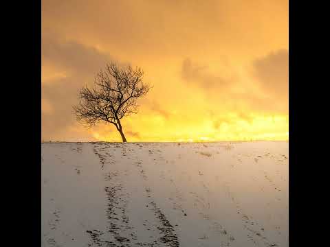 Aleksey Chistilin - The Last Sentinel of the Light