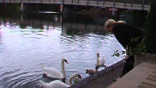 preview picture of video 'Goring on Thames - the Swan Restaurant'
