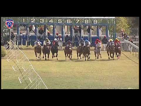 RM34 R5 | Spring Man | S.Rama