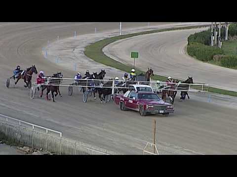 Aversa trotto 29 Gennaio 2020 - 3° Corsa