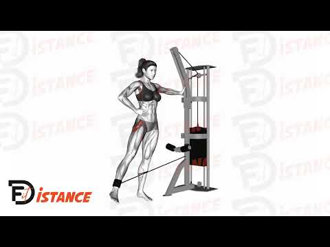 Exercice Abductions de hanche à la poulie