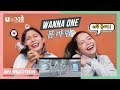 Wanna One (워너원) - '봄바람 (Spring Breeze)’ MV REACTION | YES WE'RE BORN DESTINY Wanna One (워너원) - '봄바람 (Spring Breeze)’ MV REACTION | YES WE'RE BORN DESTINY
